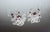 Earrings 6475