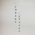 Earrings 5989