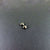Earrings 6673